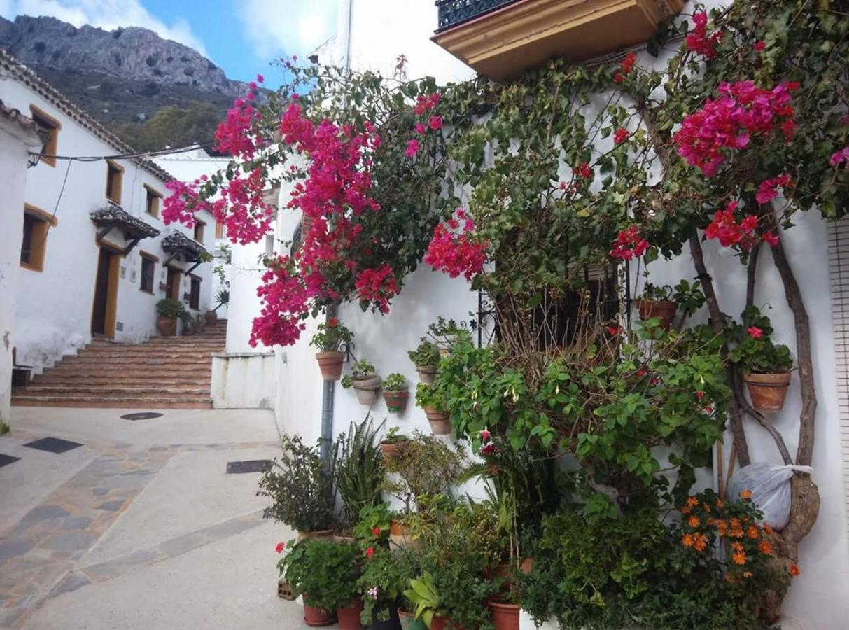 Chalé Casa Solana Benadalid