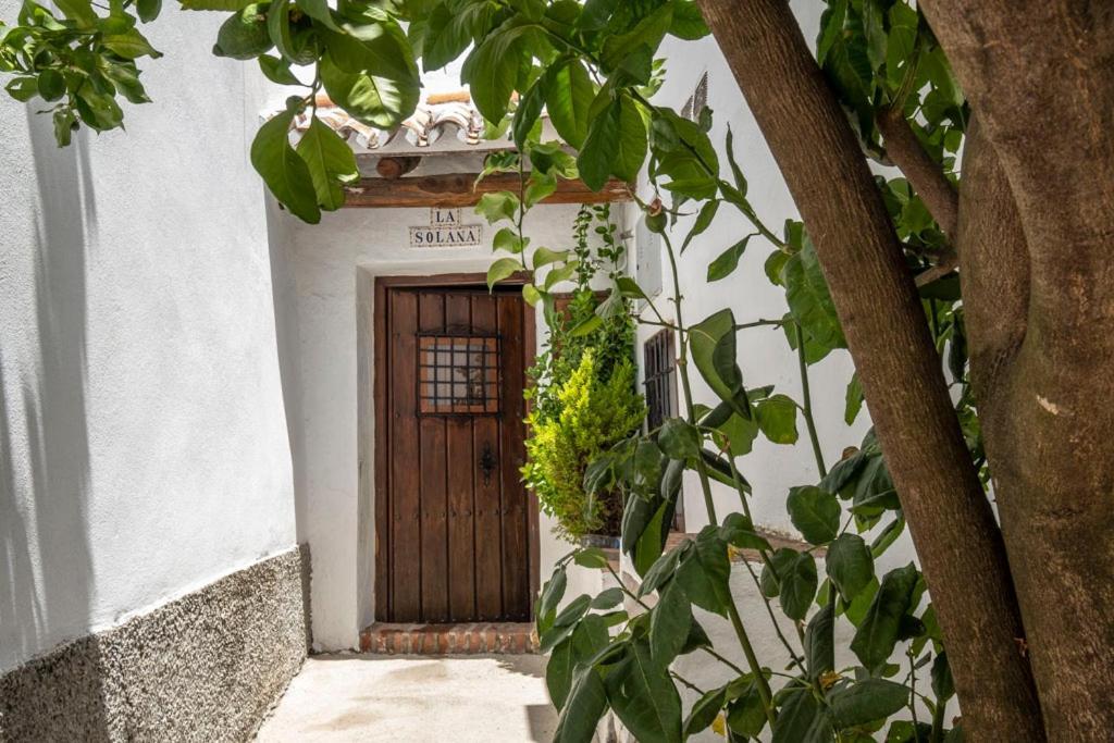 Casa Solana Chalé *